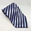 Equetech Broad Stripe Show Tie in Blue